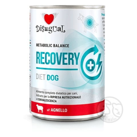 Disugual Karma Weterynaryjna RECOVERY Jagnięcina 400g