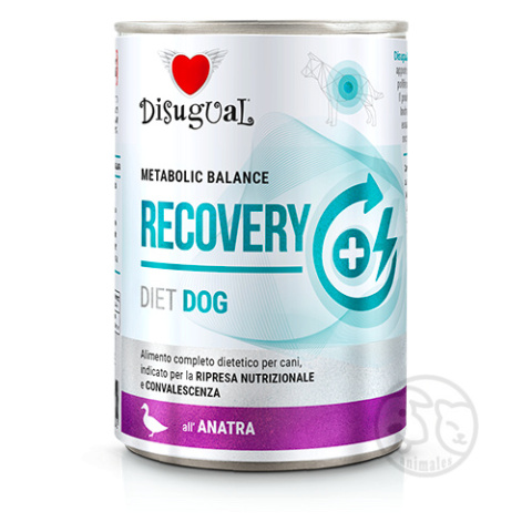 Disugual Karma Weterynaryjna RECOVERY Kaczka 400g Disugual Karma Weterynaryjna RECOVERY Kaczka 400g